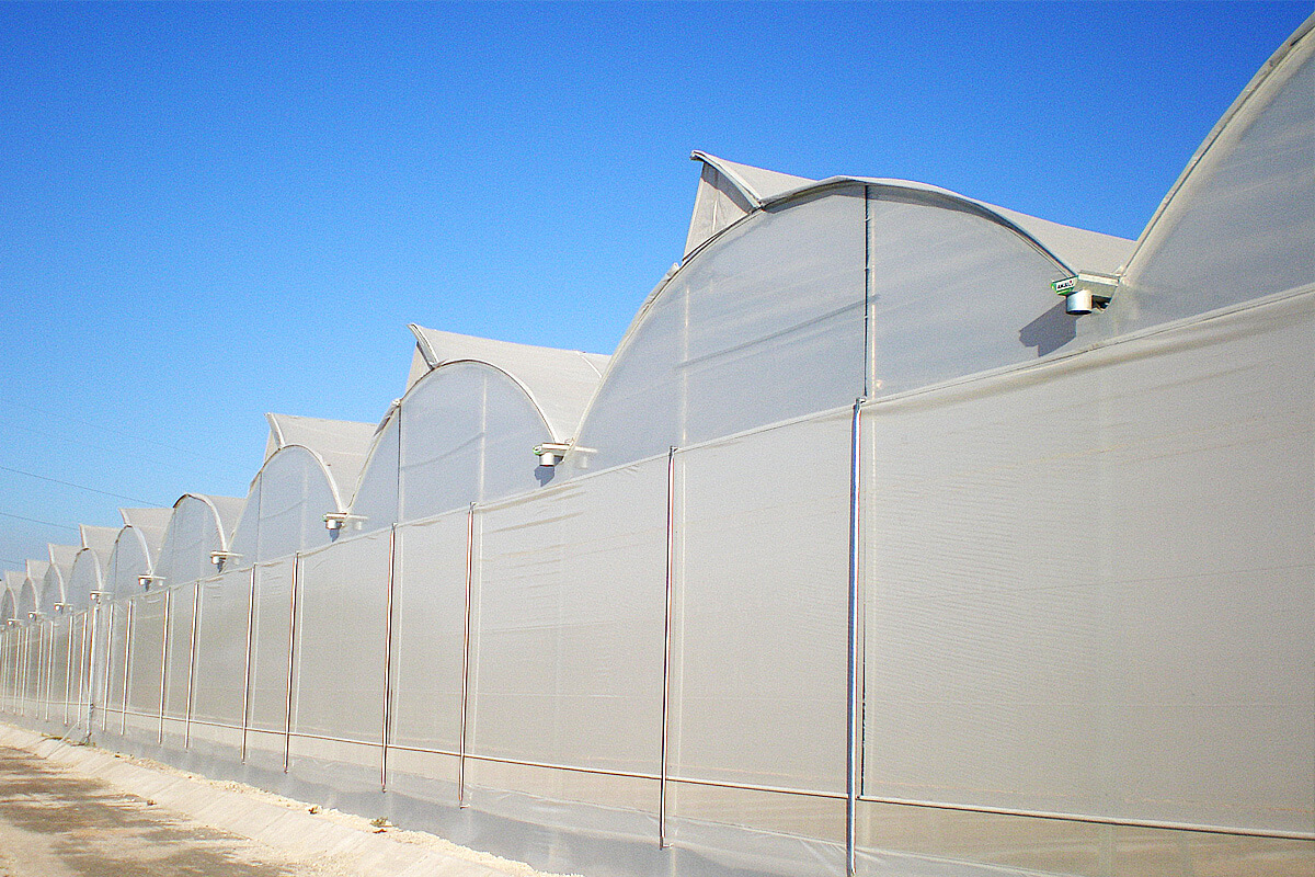Circular multispan greenhouse