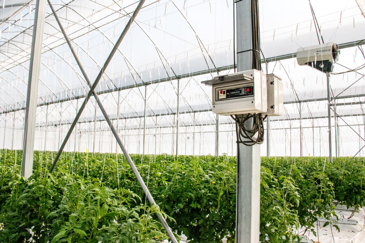 Climate control for greenhouses