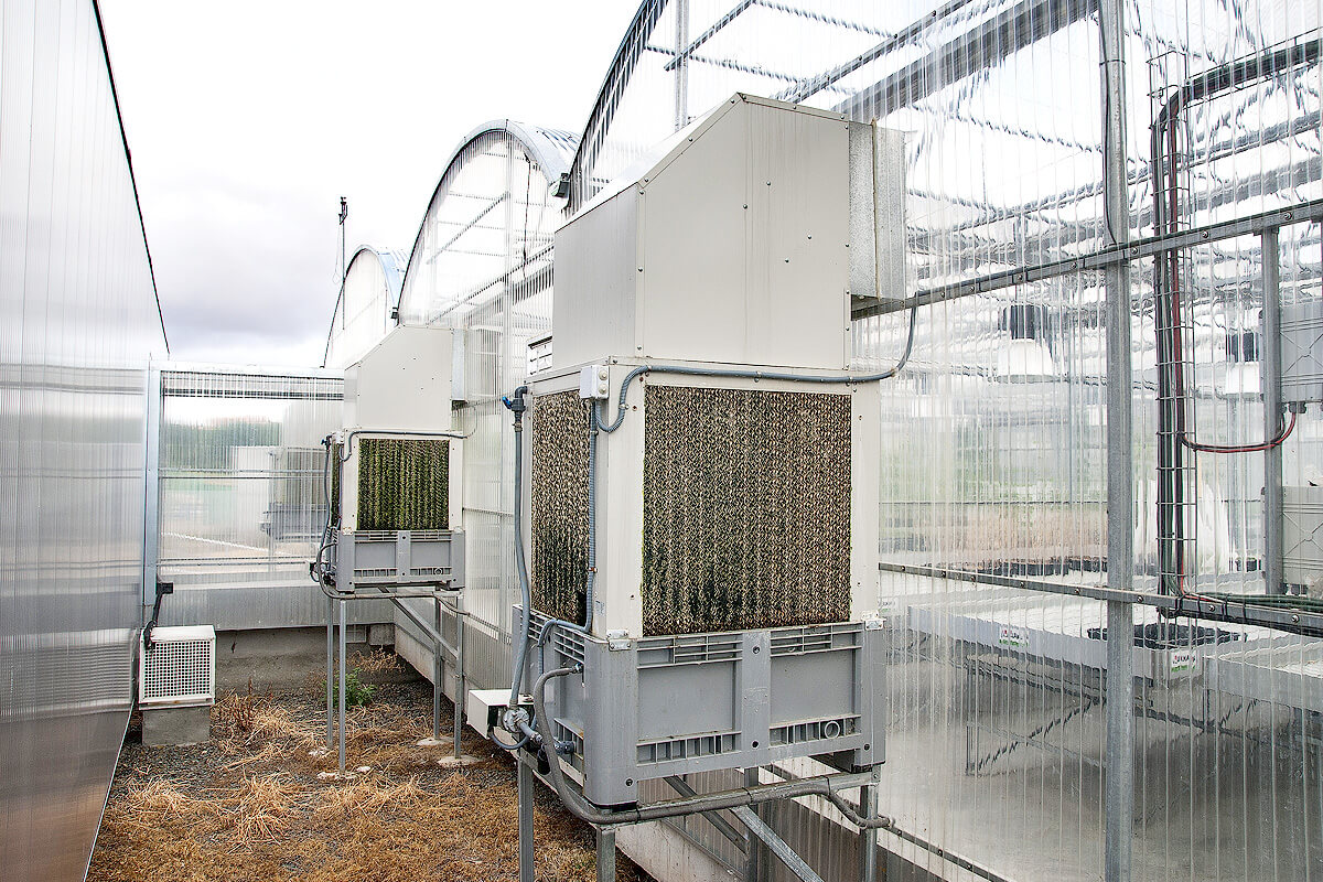 Cooling system for greenhouses