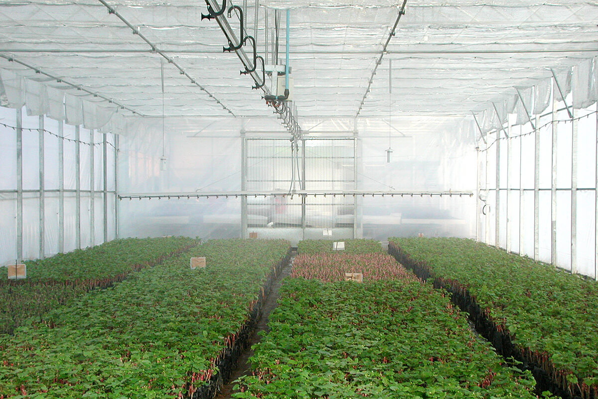 Fertigation for greenhouses