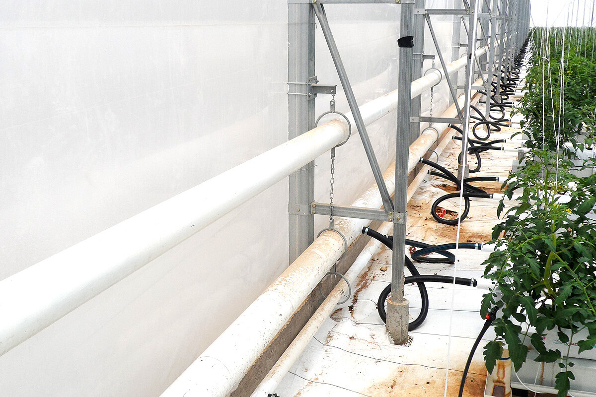 Water heating for greenhouses