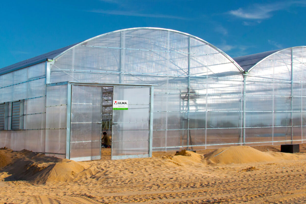 ULMA Agrícola instala invernaderos en el desierto