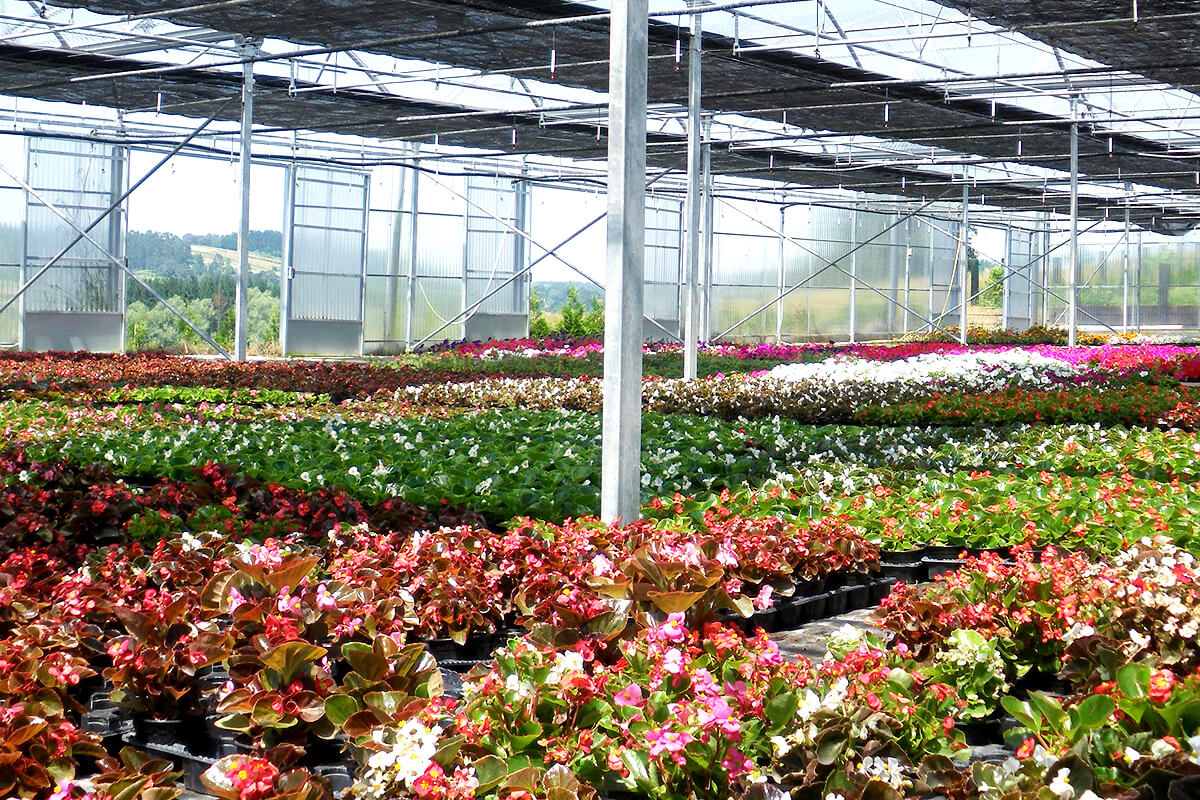 Floriculture et horticulture