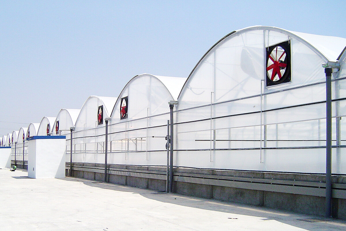 Circular multispan greenhouse