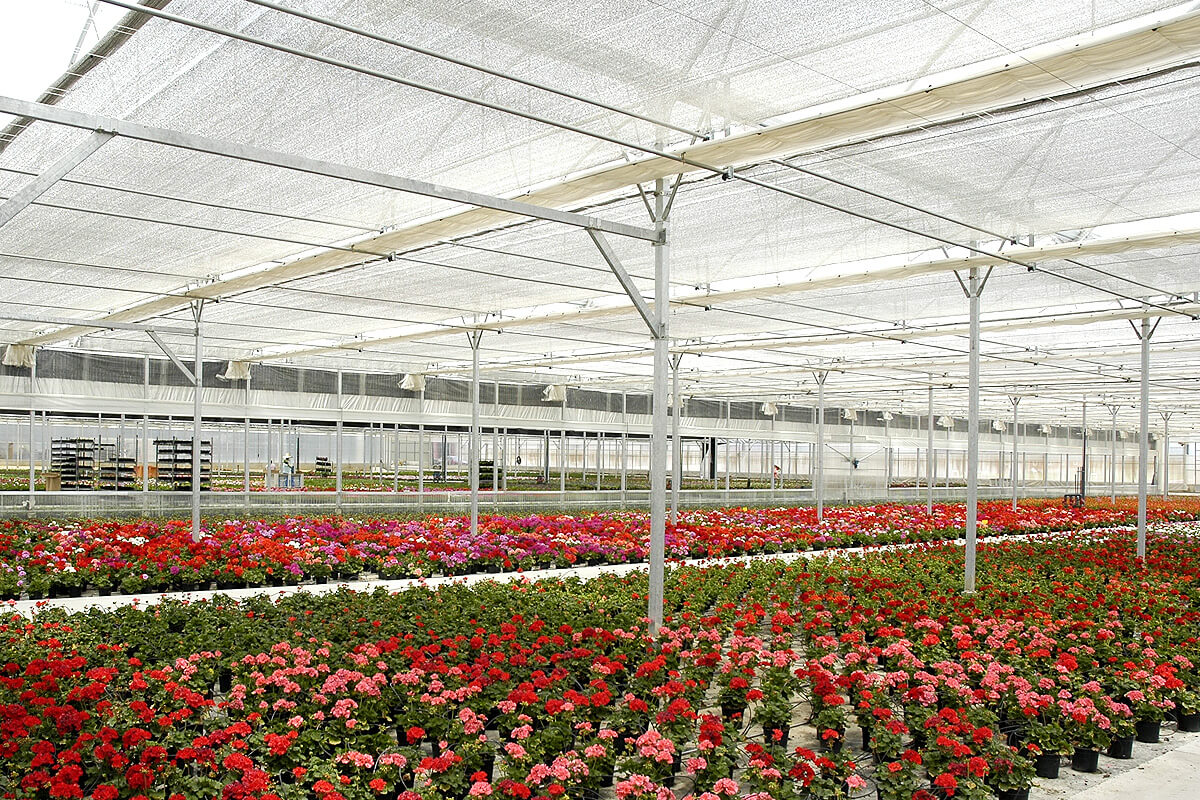 Screens for greenhouses