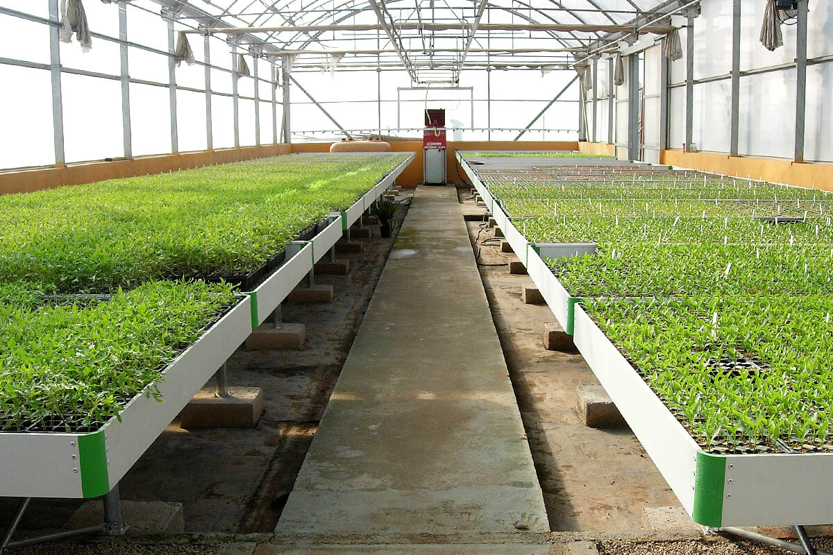 Mesas de cultivo para invernaderos