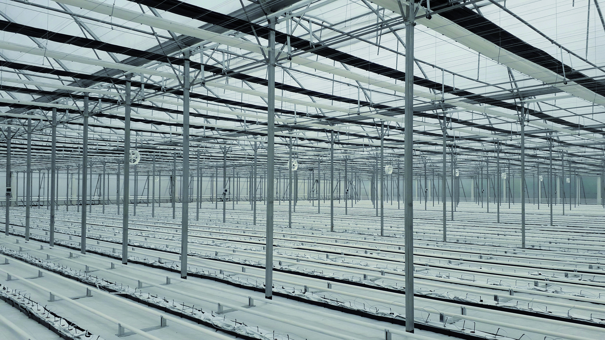 ULMA Agrícola has installed more than 5 hectares of greenhouses in Central Asia
