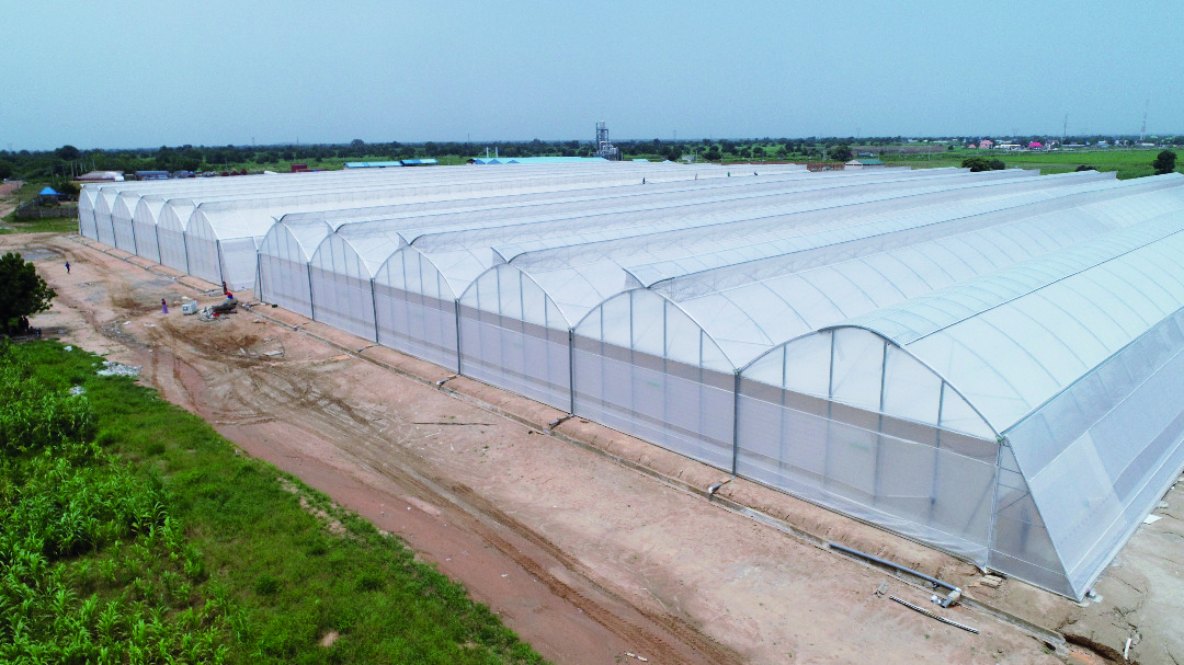 ULMA Agricolak proiektu bat egin du tomate hazitegi baterako Nigeria