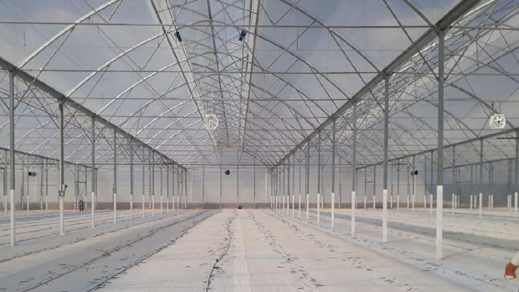 ULMA Agrícola realiza un proyecto para el cultivo de tomate en hidroponía en México