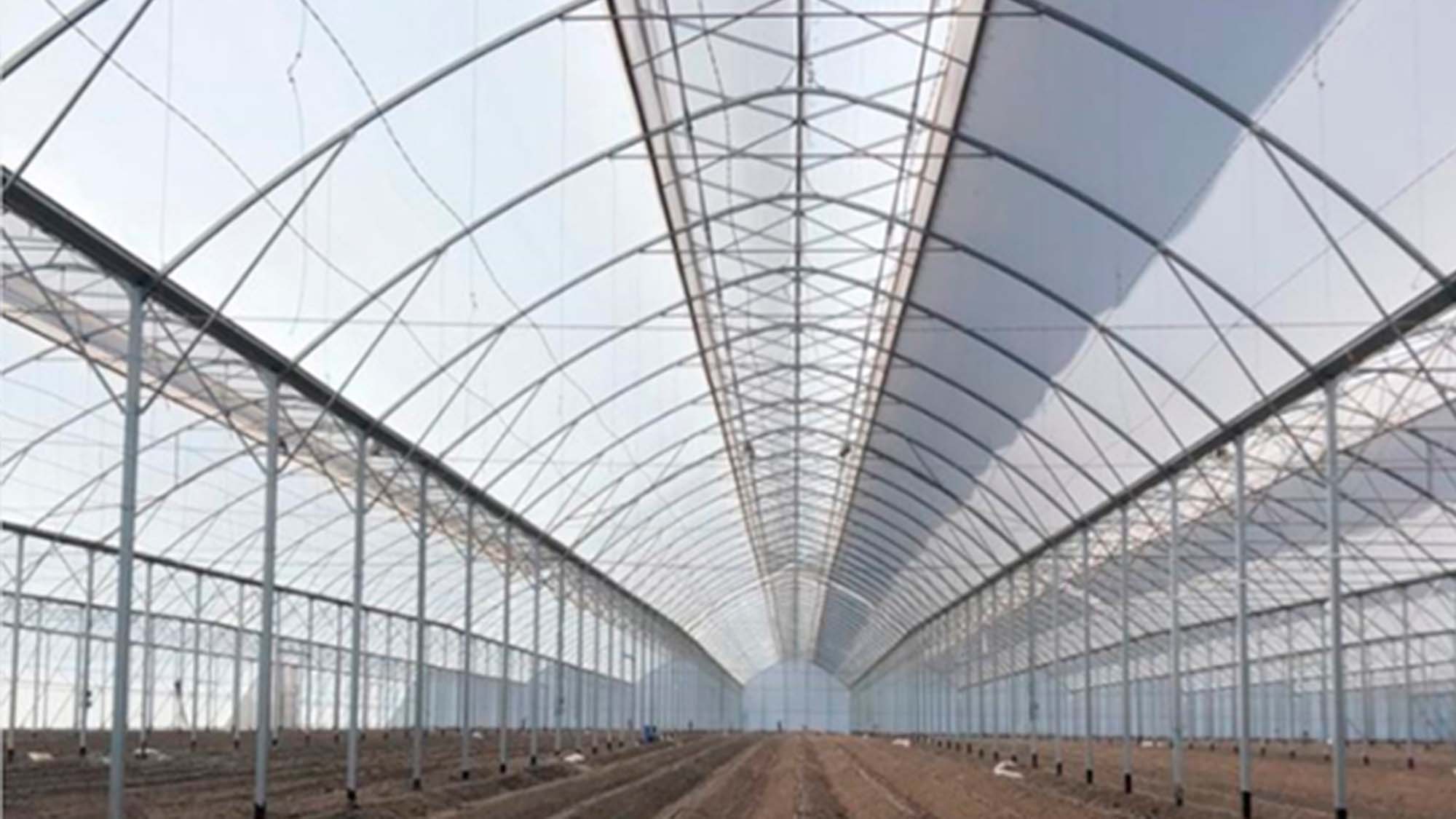 ULMA Agrícola installs greenhouses in Guanajuato (Mexico)